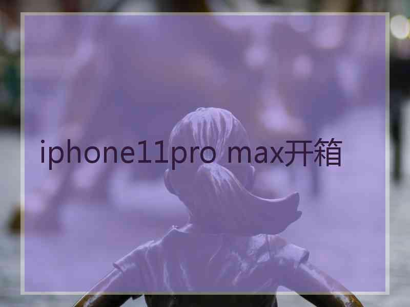 iphone11pro max开箱