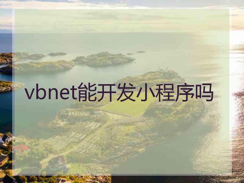 vbnet能开发小程序吗