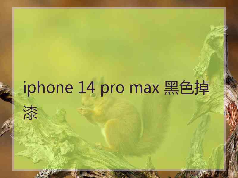 iphone 14 pro max 黑色掉漆