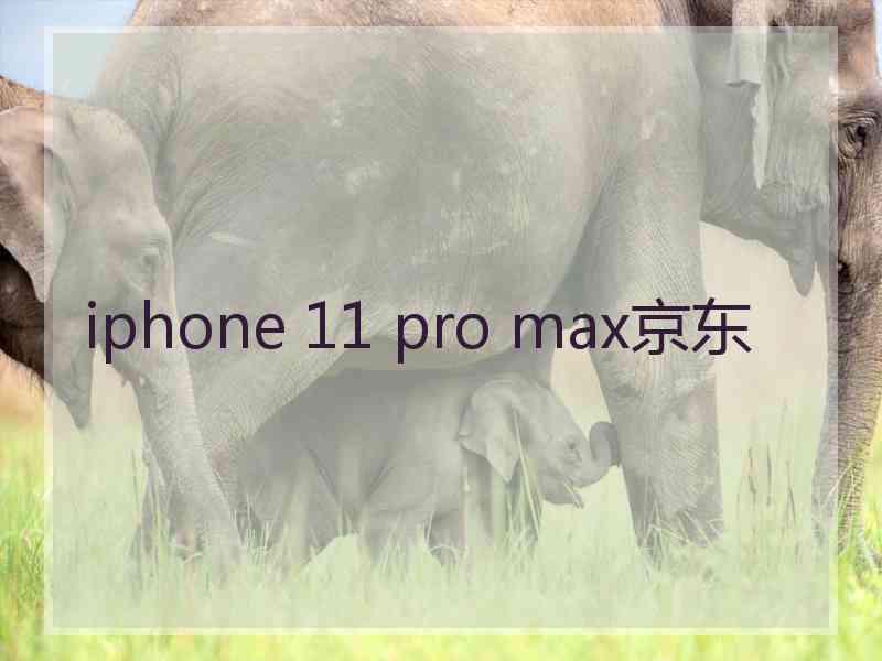 iphone 11 pro max京东