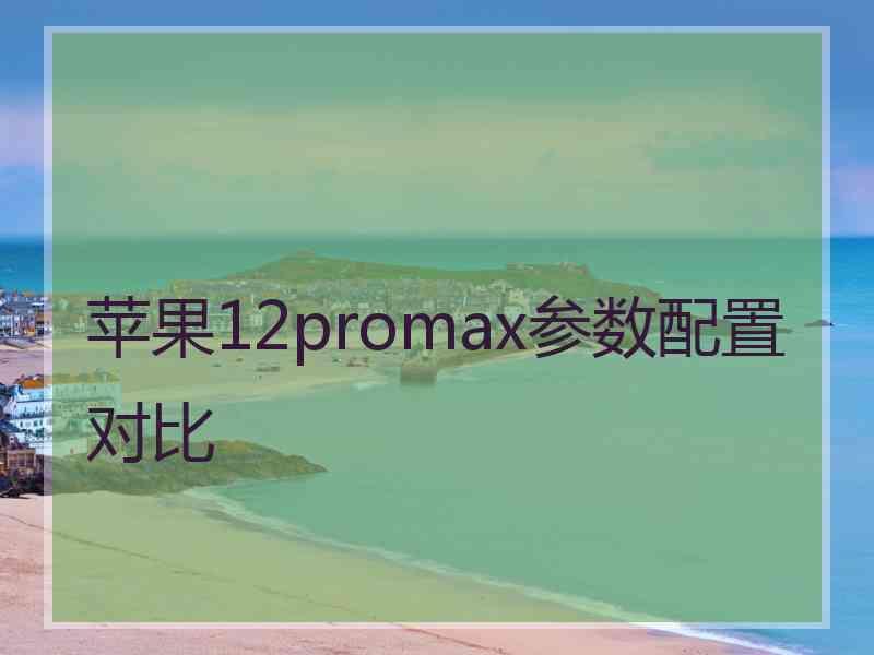 苹果12promax参数配置对比