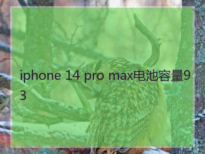 iphone 14 pro max电池容量93