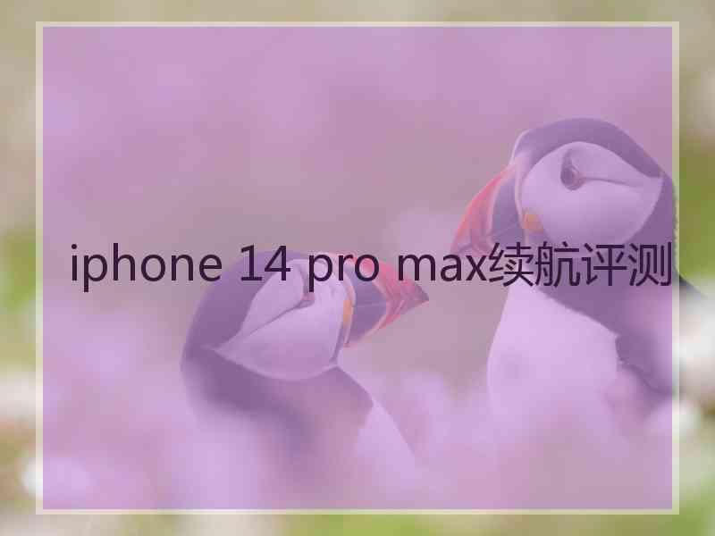 iphone 14 pro max续航评测