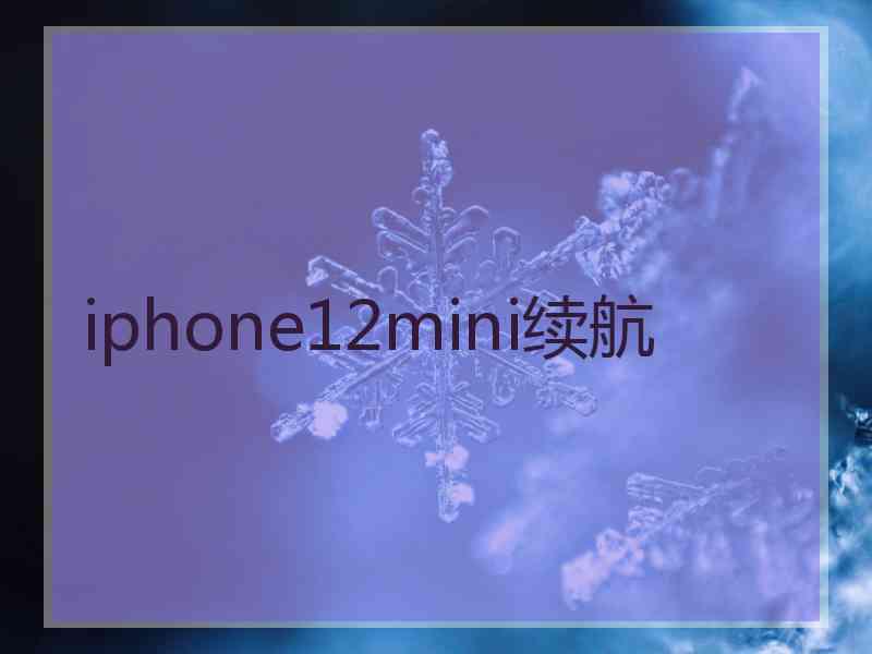 iphone12mini续航