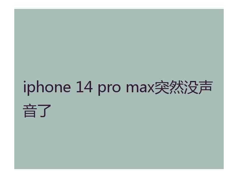 iphone 14 pro max突然没声音了