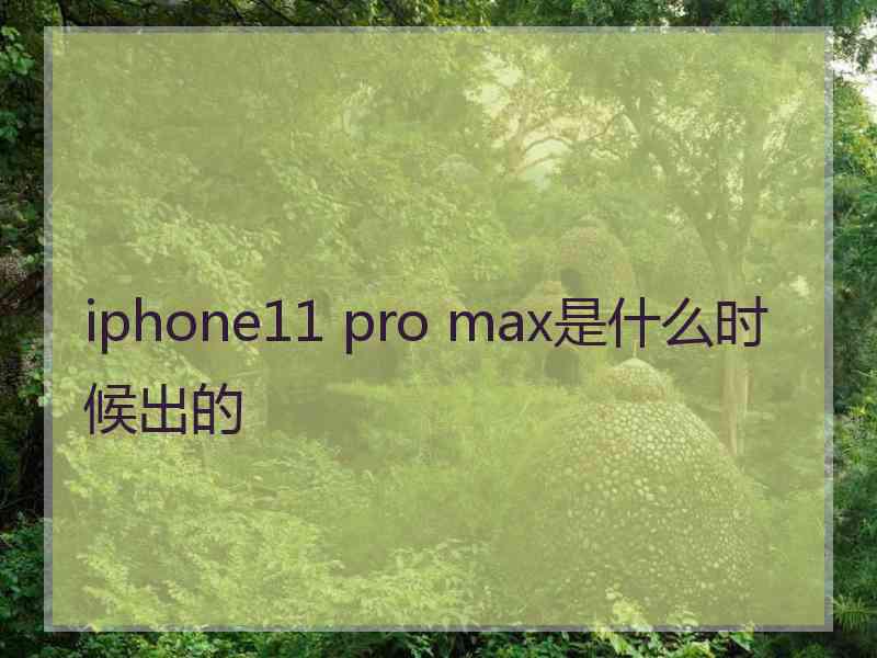 iphone11 pro max是什么时候出的