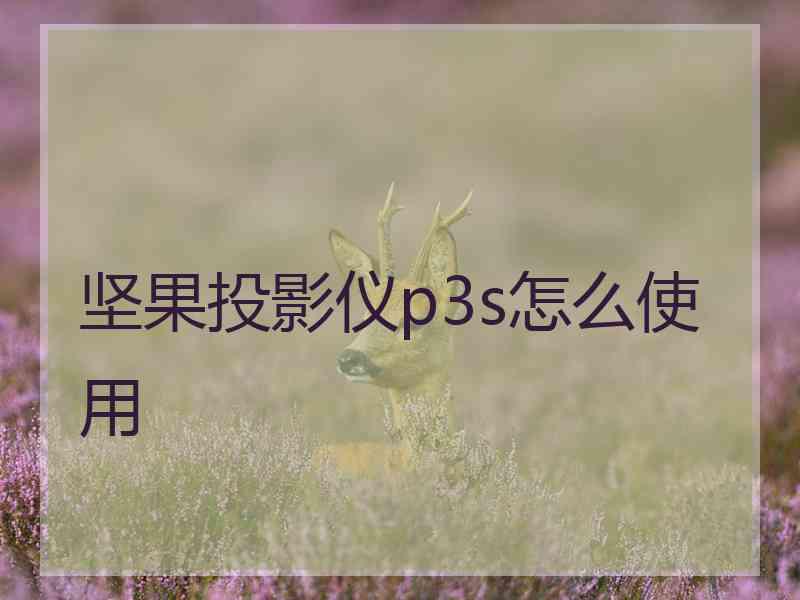 坚果投影仪p3s怎么使用