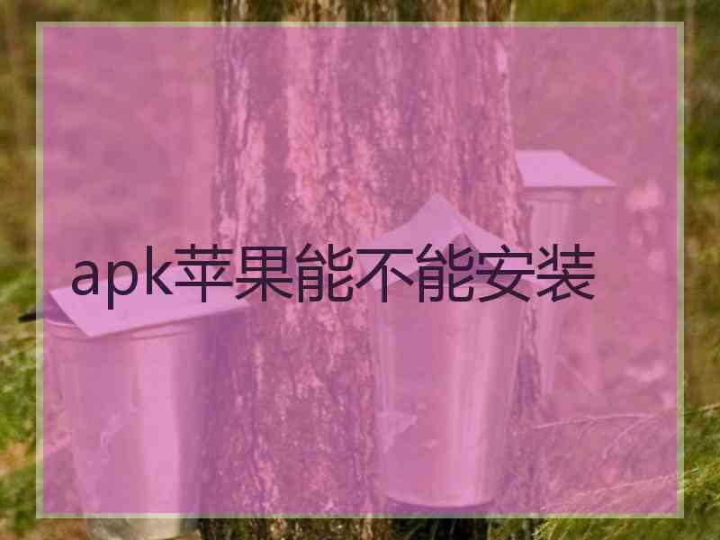 apk苹果能不能安装