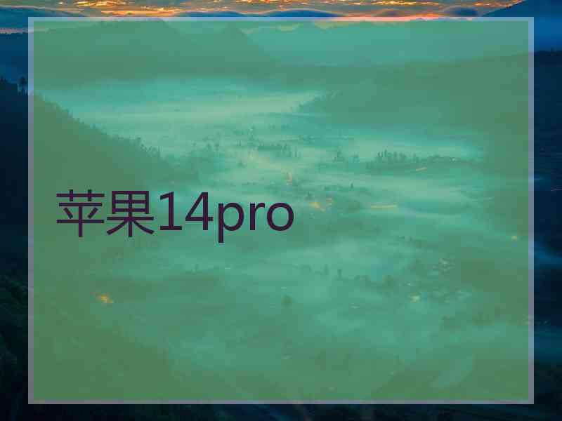 苹果14pro