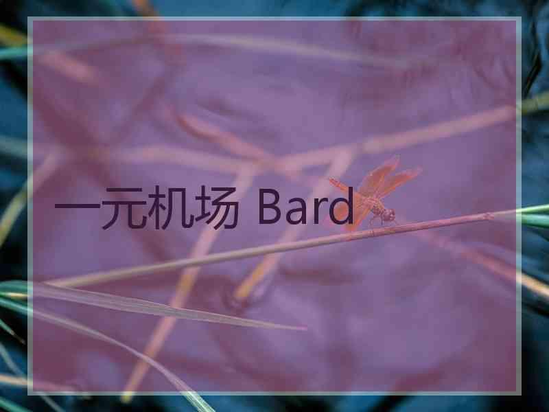 一元机场 Bard