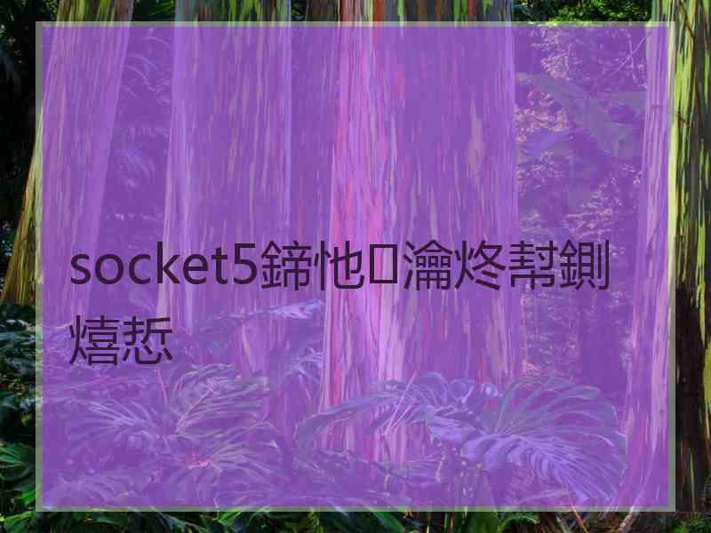 socket5鍗忚瀹炵幇鍘熺悊
