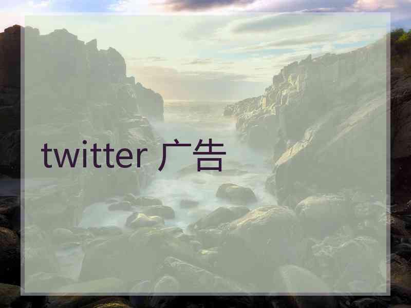 twitter 广告