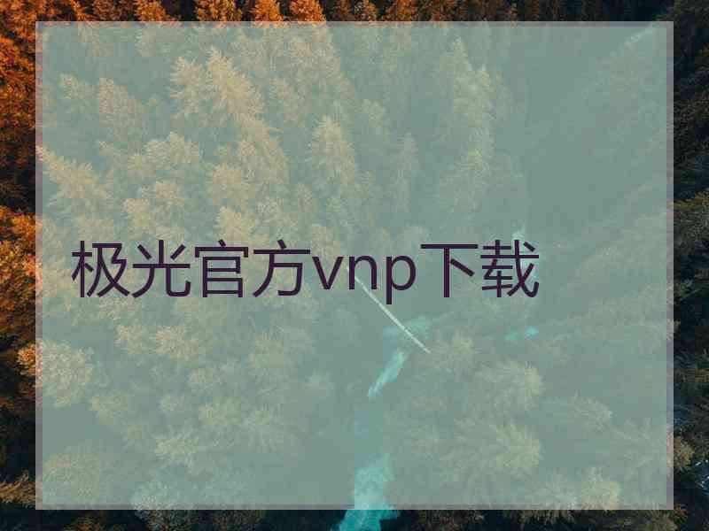 极光官方vnp下载