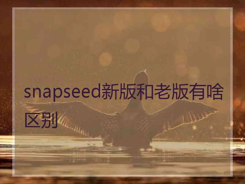 snapseed新版和老版有啥区别