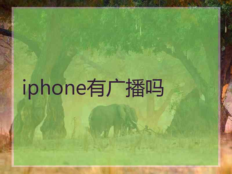 iphone有广播吗