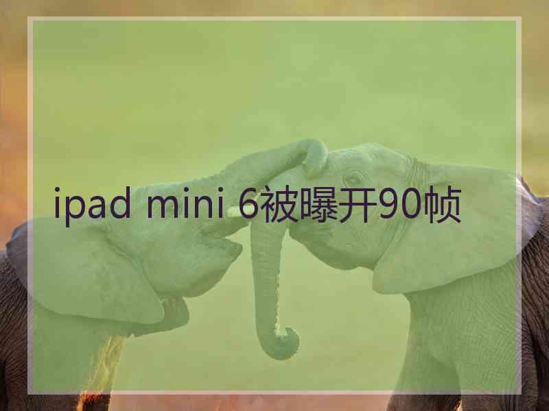 ipad mini 6被曝开90帧