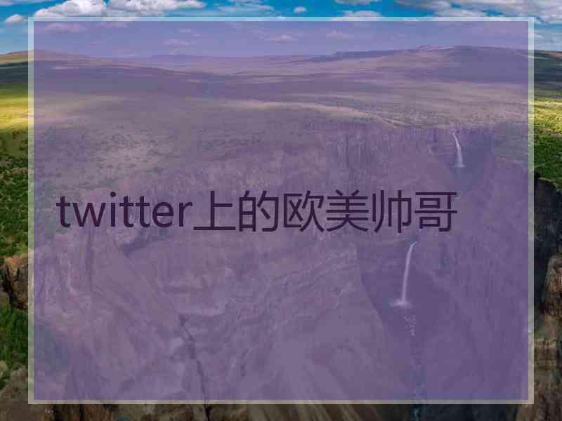 twitter上的欧美帅哥