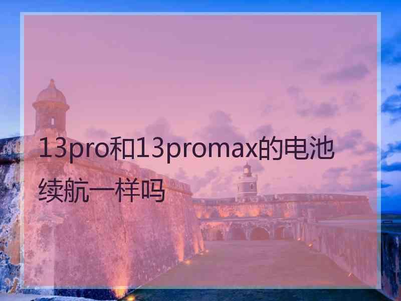 13pro和13promax的电池续航一样吗