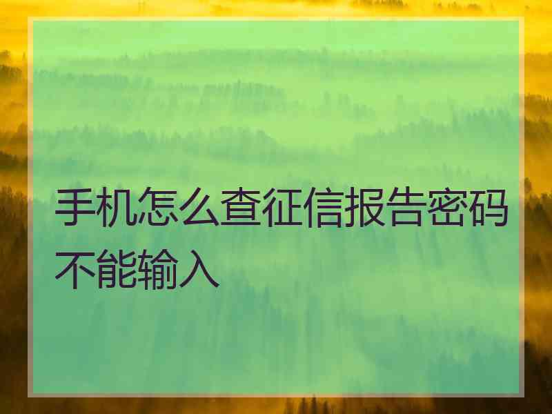 手机怎么查征信报告密码不能输入