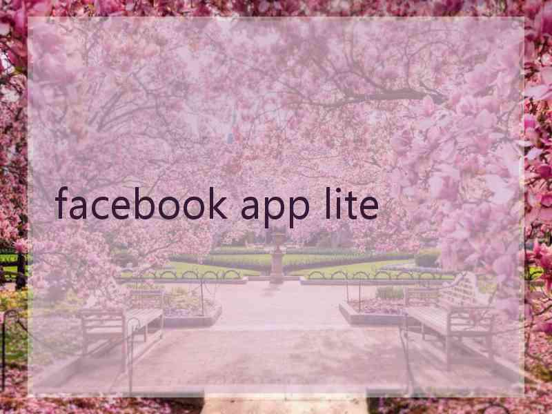 facebook app lite