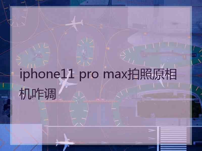 iphone11 pro max拍照原相机咋调