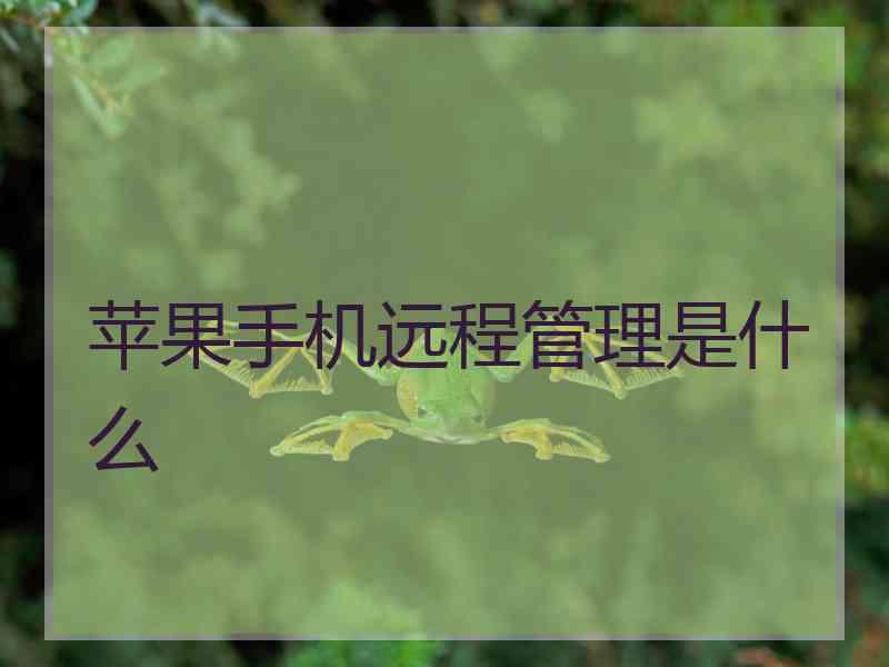 苹果手机远程管理是什么