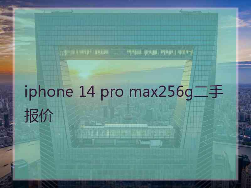 iphone 14 pro max256g二手报价