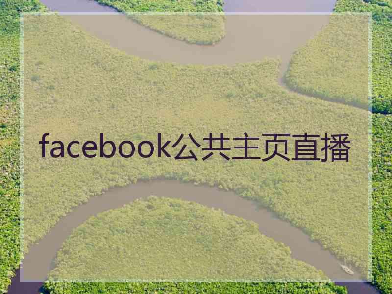 facebook公共主页直播