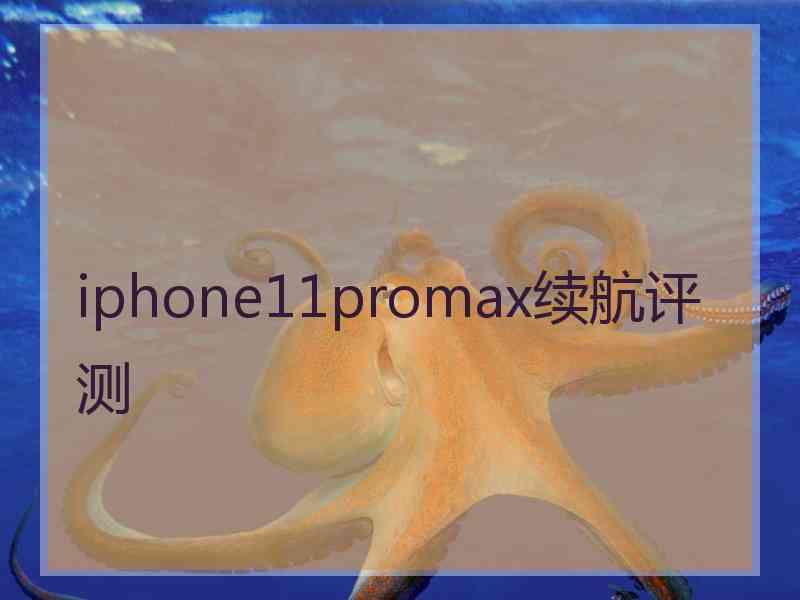 iphone11promax续航评测