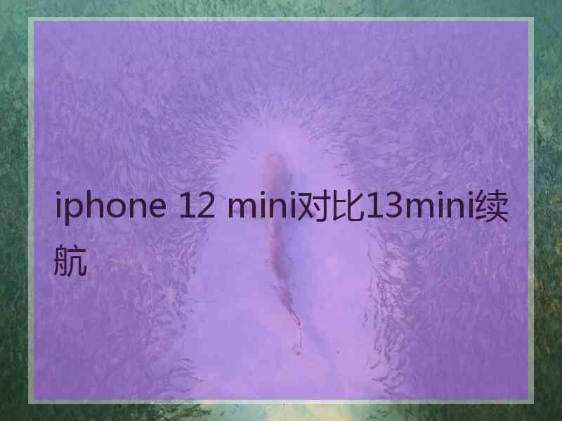 iphone 12 mini对比13mini续航