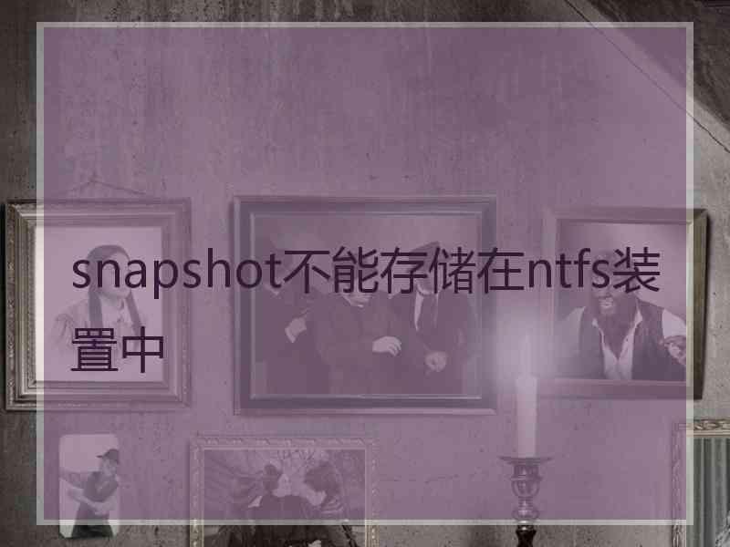 snapshot不能存储在ntfs装置中