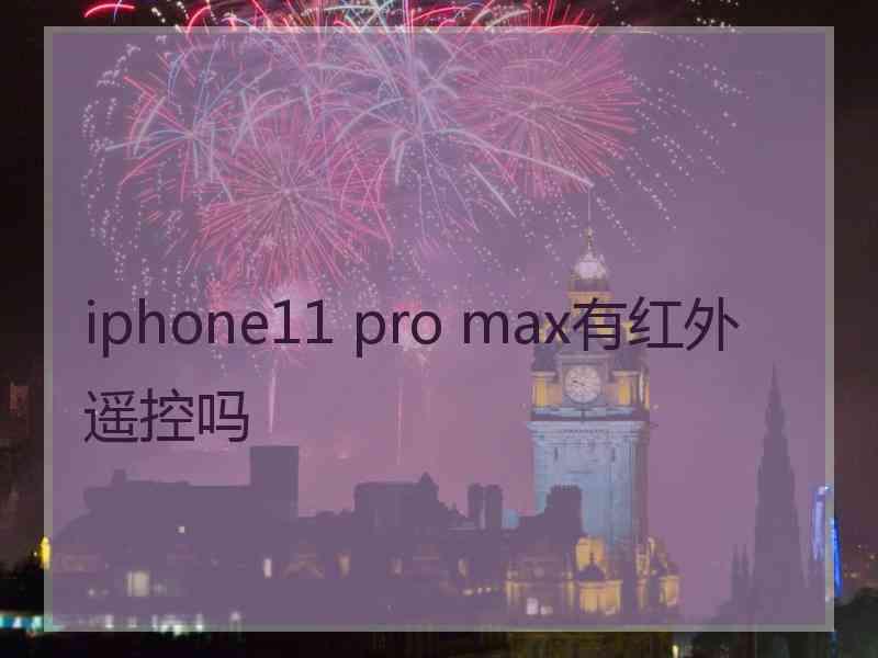 iphone11 pro max有红外遥控吗