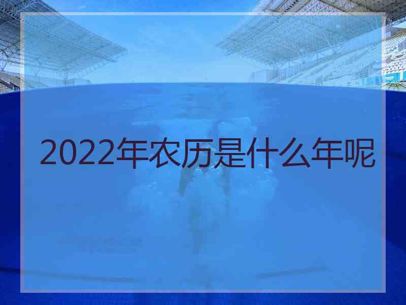 2022年农历是什么年呢