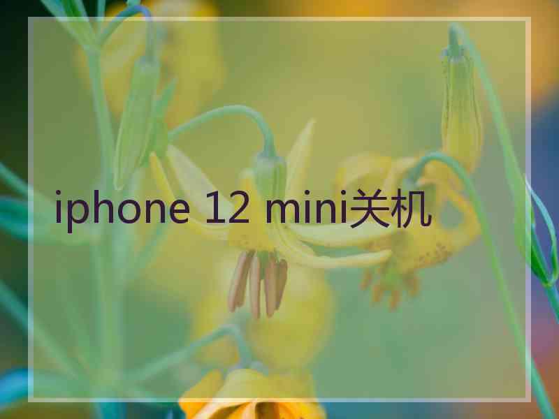 iphone 12 mini关机