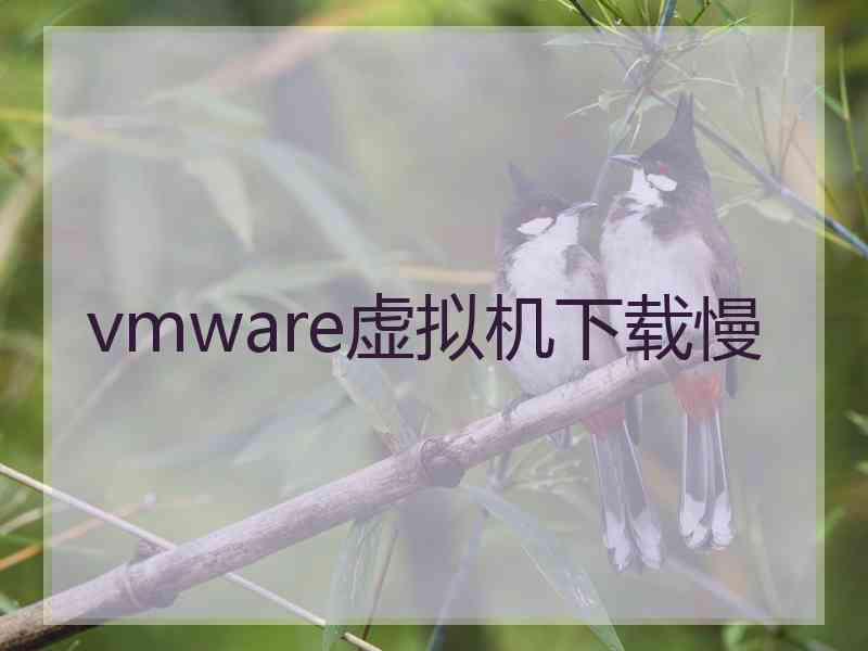 vmware虚拟机下载慢