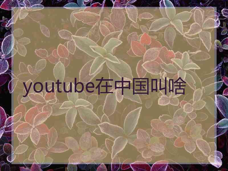 youtube在中国叫啥