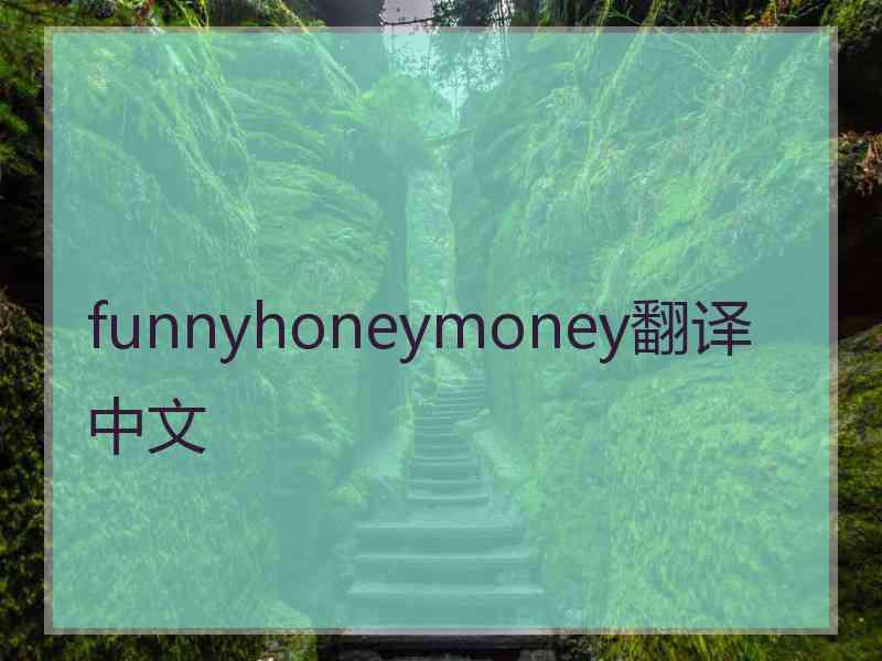 funnyhoneymoney翻译中文