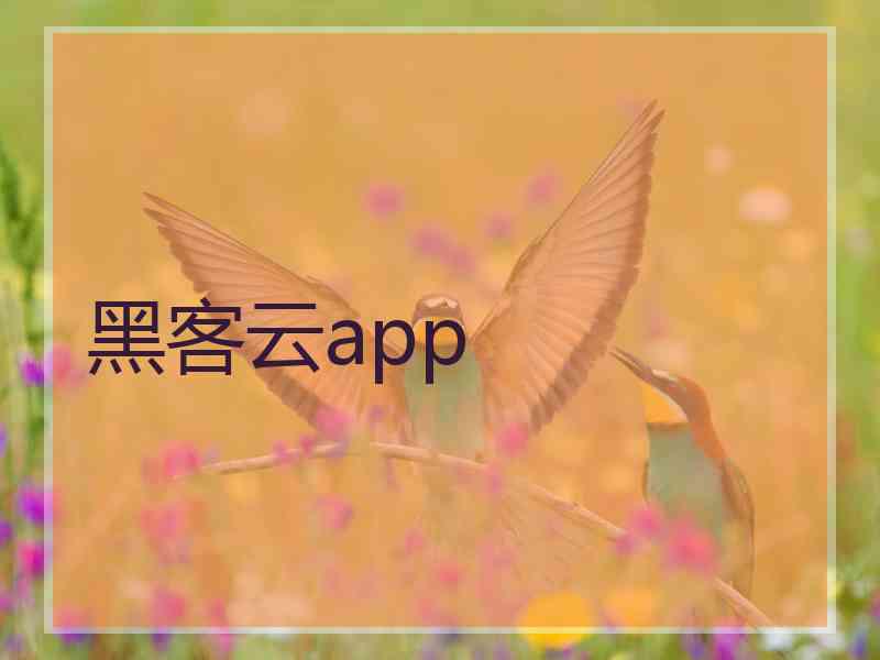 黑客云app