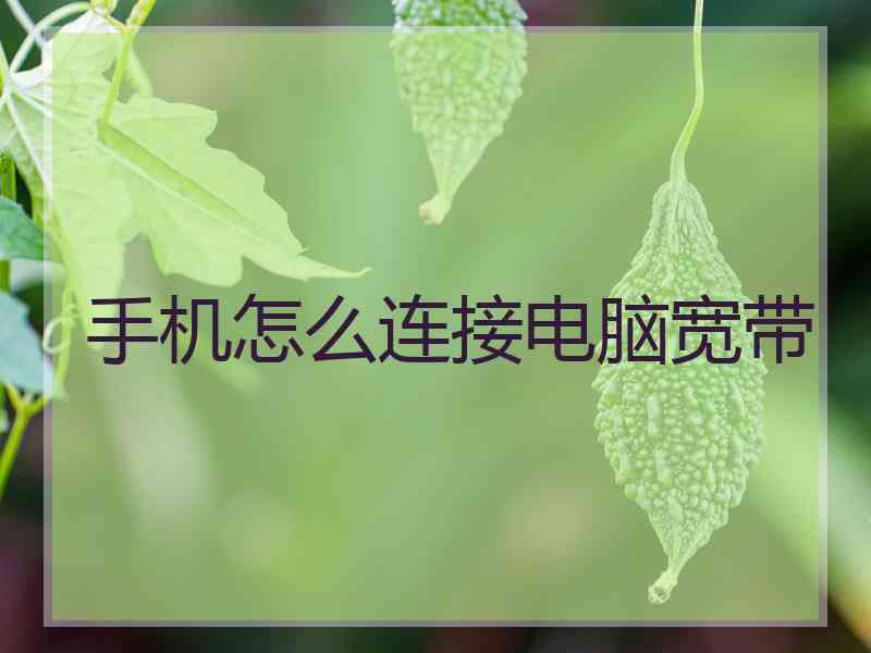 手机怎么连接电脑宽带