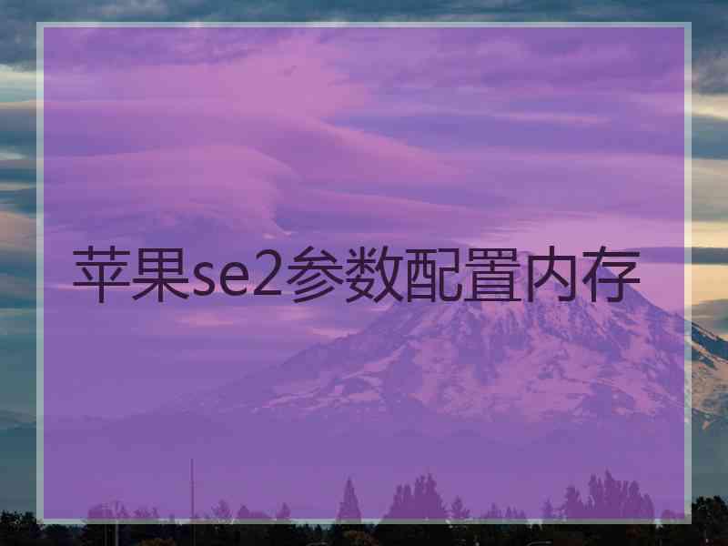 苹果se2参数配置内存