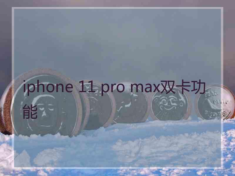 iphone 11 pro max双卡功能