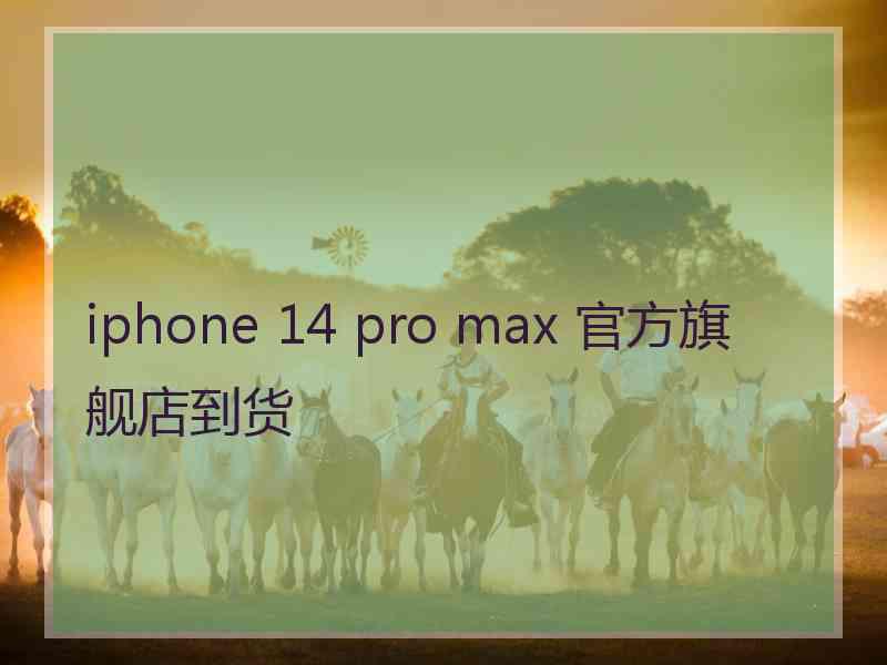 iphone 14 pro max 官方旗舰店到货