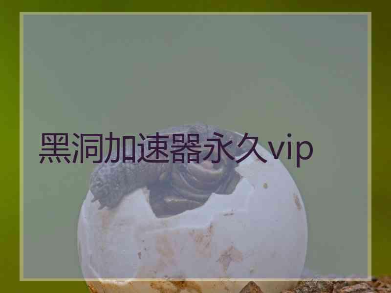 黑洞加速器永久vip