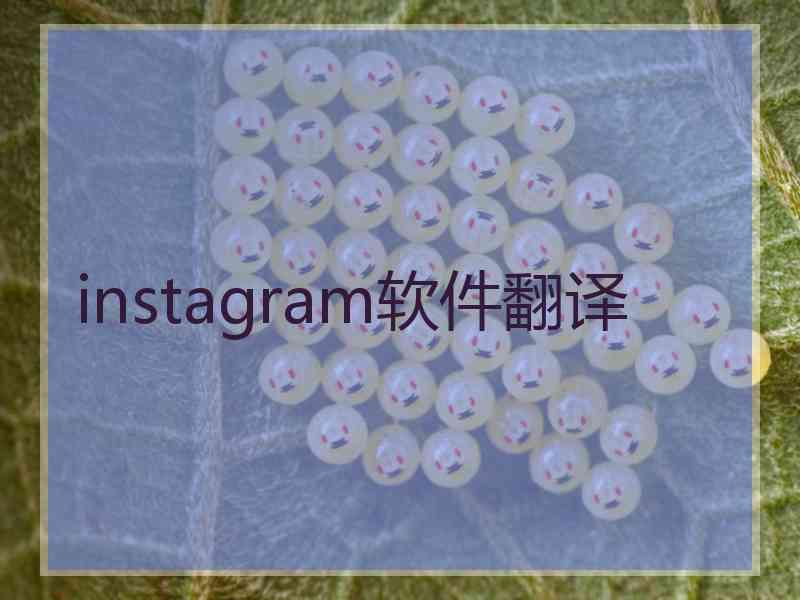 instagram软件翻译