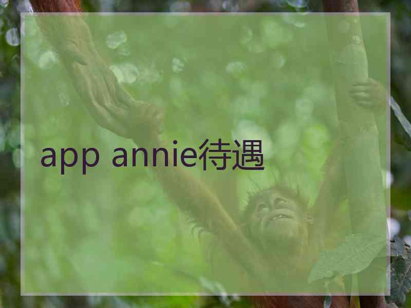 app annie待遇