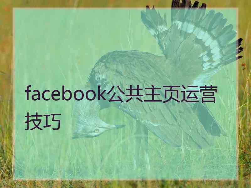 facebook公共主页运营技巧