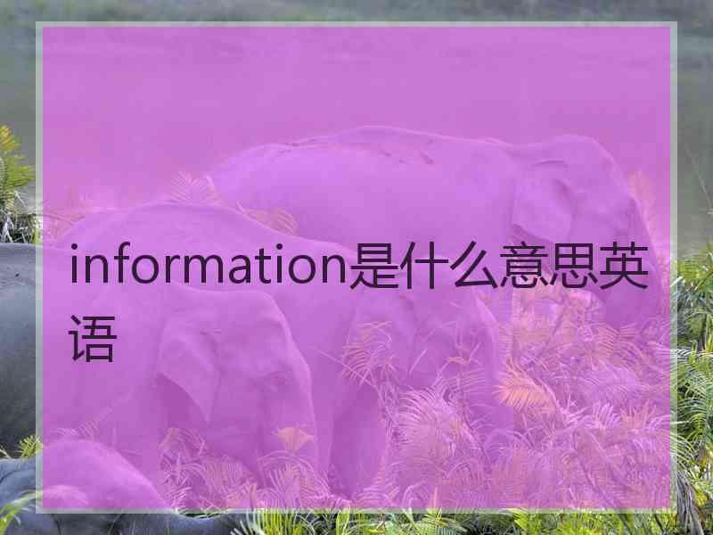 information是什么意思英语