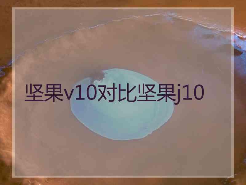 坚果v10对比坚果j10