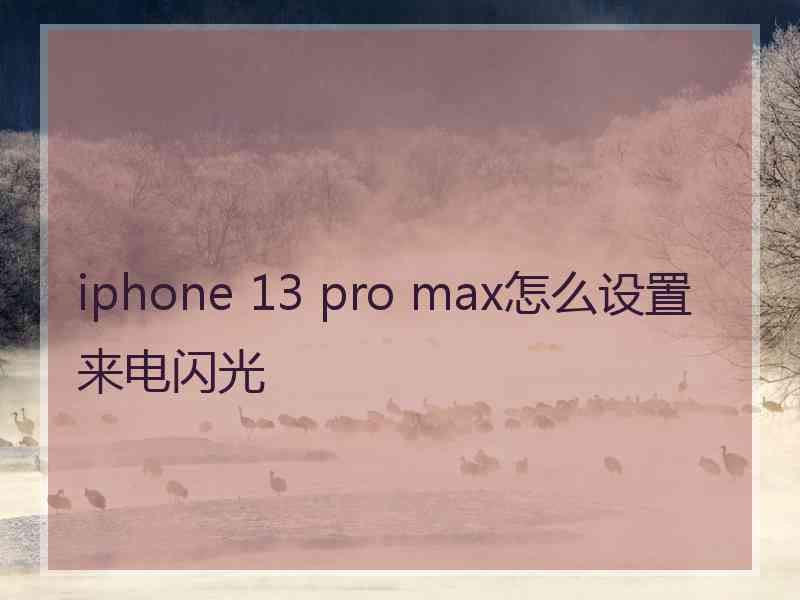 iphone 13 pro max怎么设置来电闪光