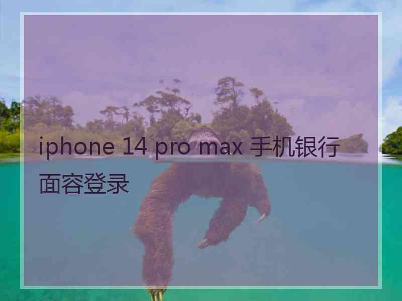 iphone 14 pro max 手机银行面容登录